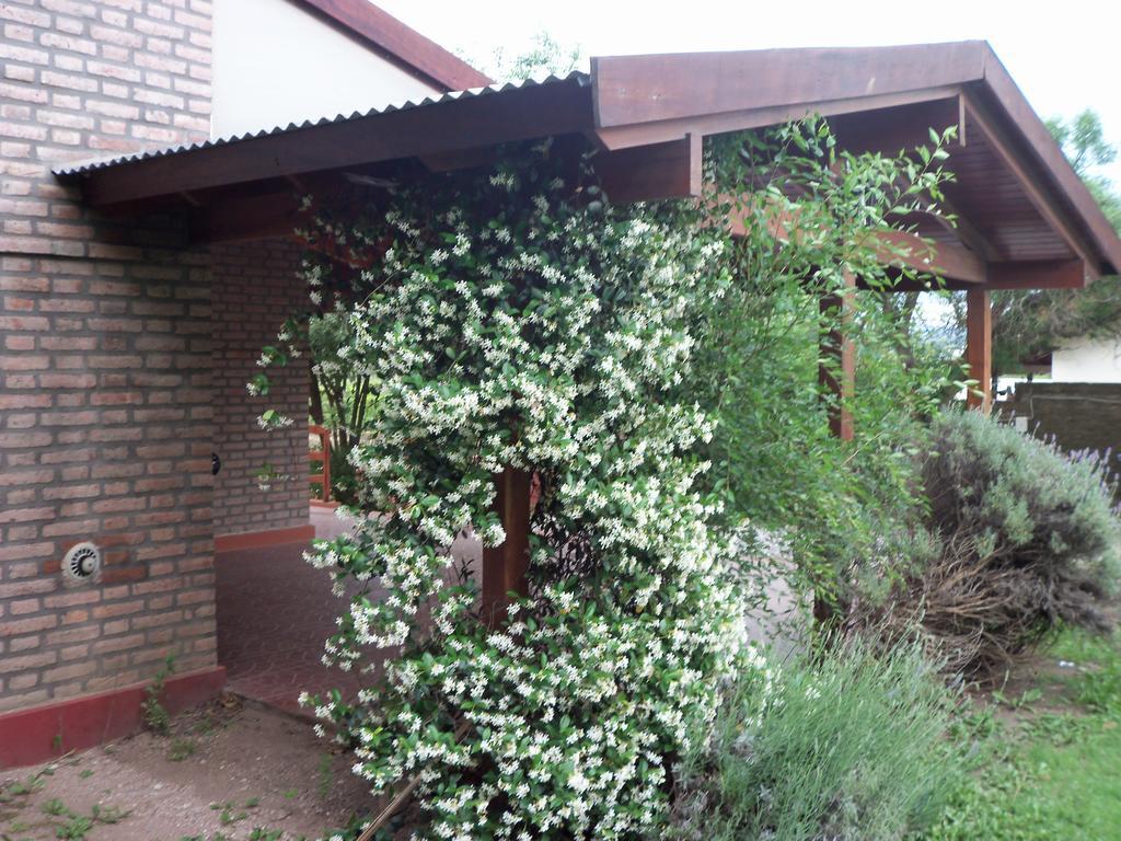 Cabanas El Dominador La Falda Exteriör bild